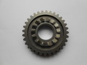 DSCN6550